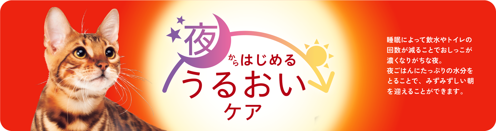 夜からはじめるうるおいケア