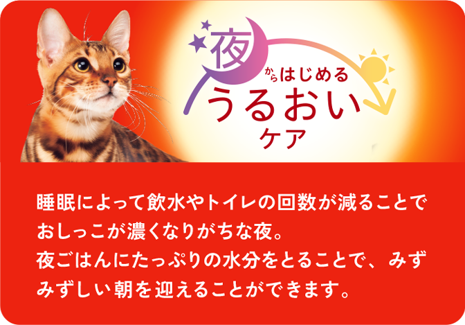 夜からはじめるうるおいケア