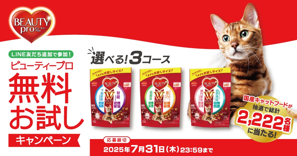 無料お試しキャンペーン
