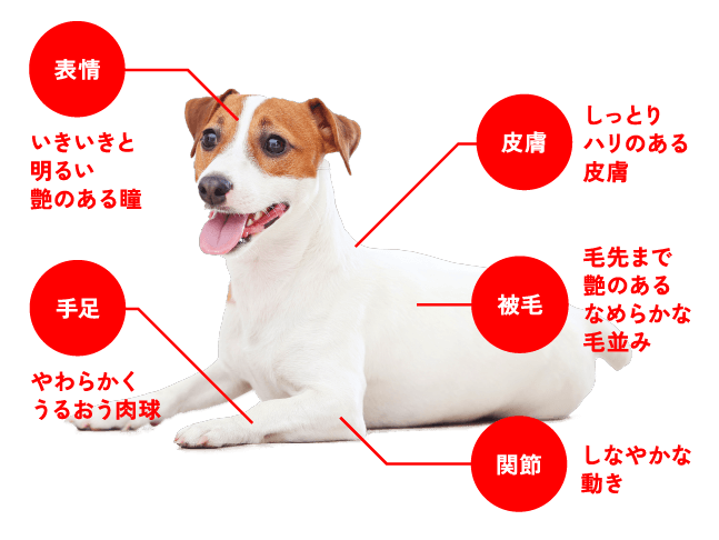 ごちそうさまの後は