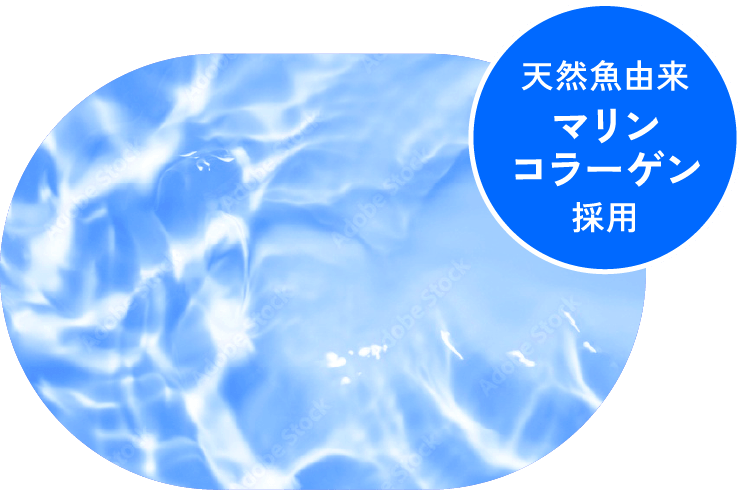 お魚由来のマリンコラーゲン
